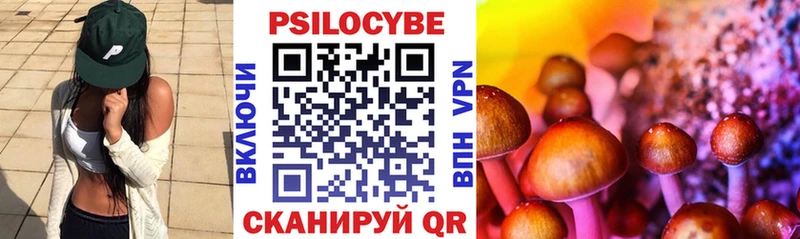 где можно купить наркотик  Ковров  Псилоцибиновые грибы Magic Shrooms 