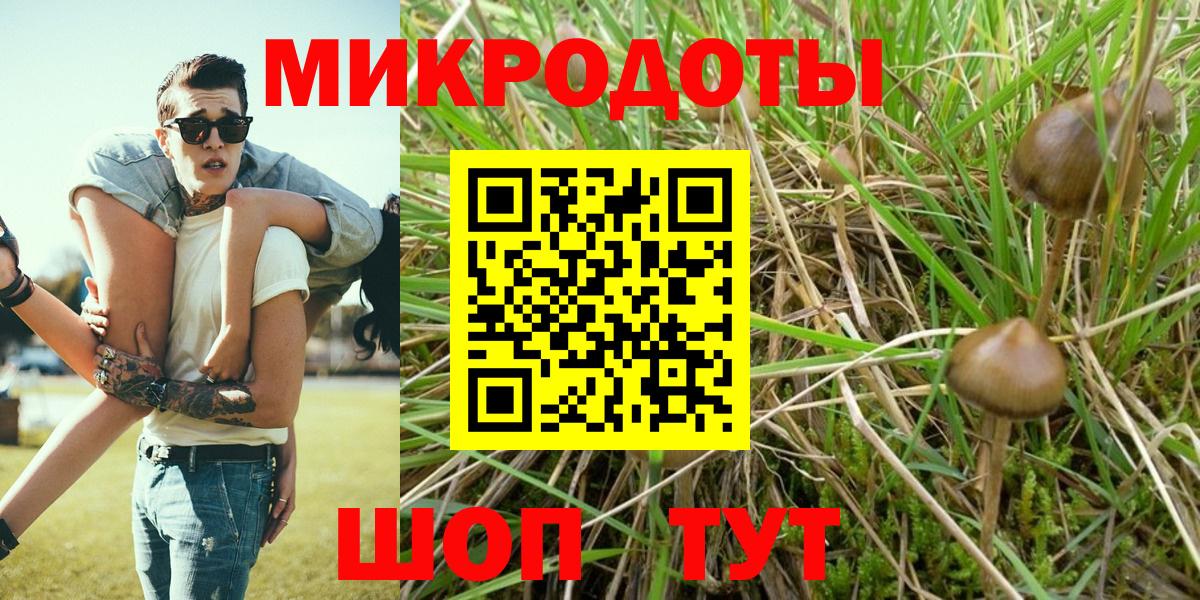 Галлюциногенные грибы Magic Shrooms  Вход с VPN  Ковров  Псилоцибиновые грибы Psilocybe 